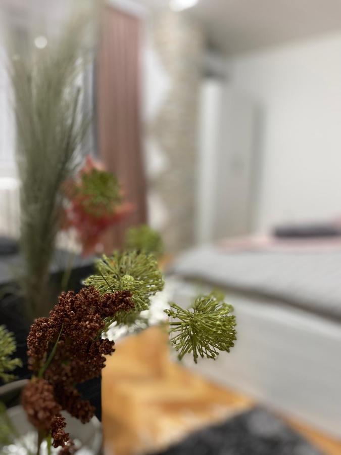 Apartman Bonaca Ni Exterior foto