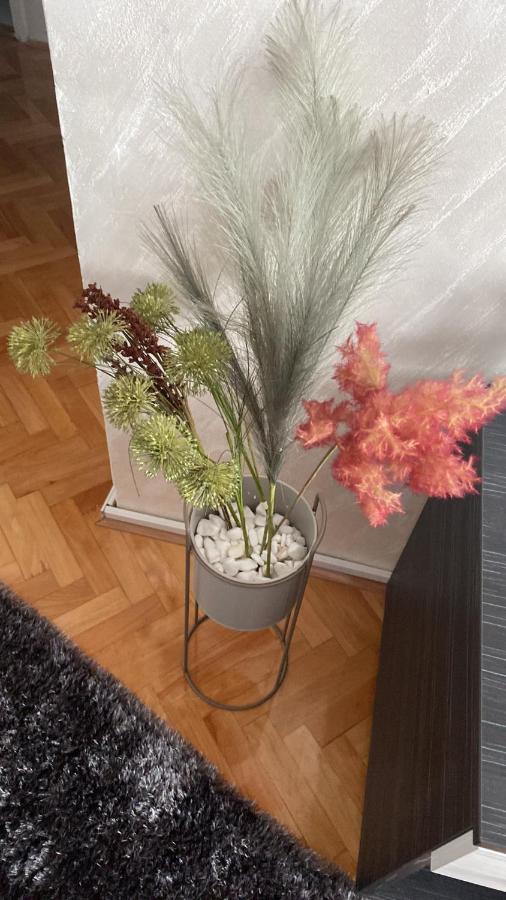 Apartman Bonaca Ni Exterior foto